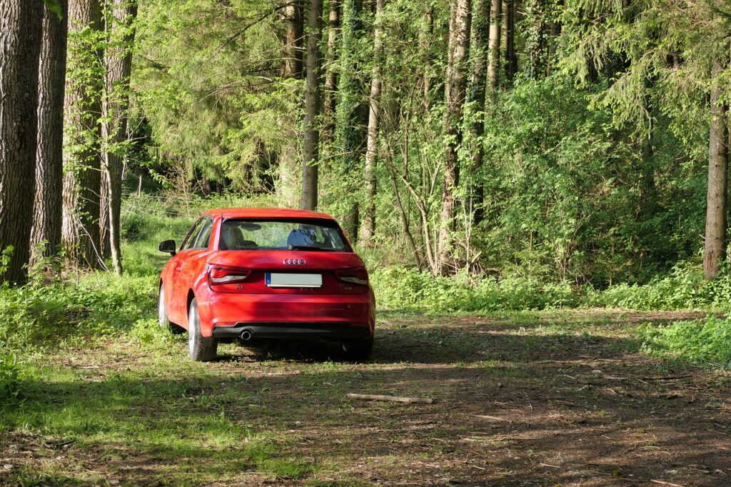 Czy można parkować w lesie?