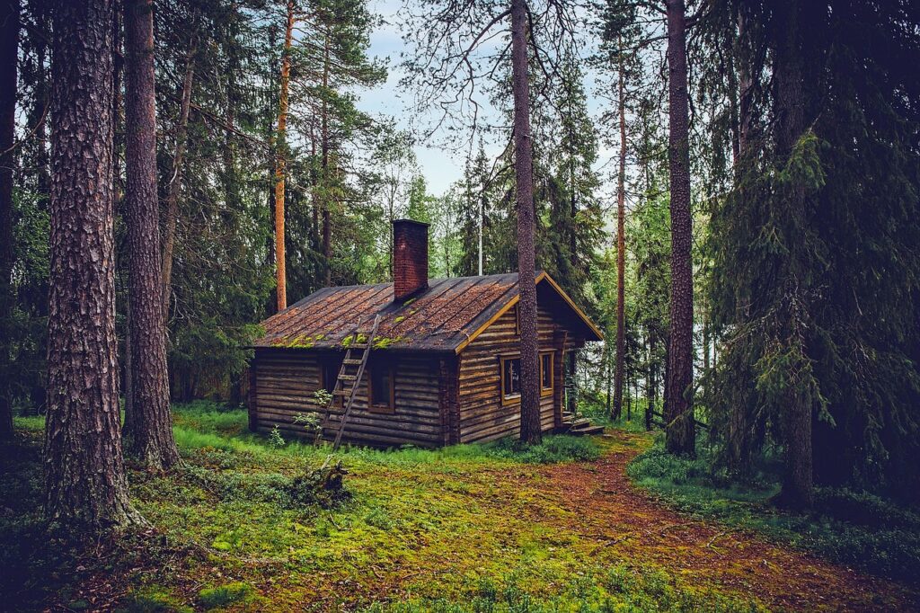 dom w lesie