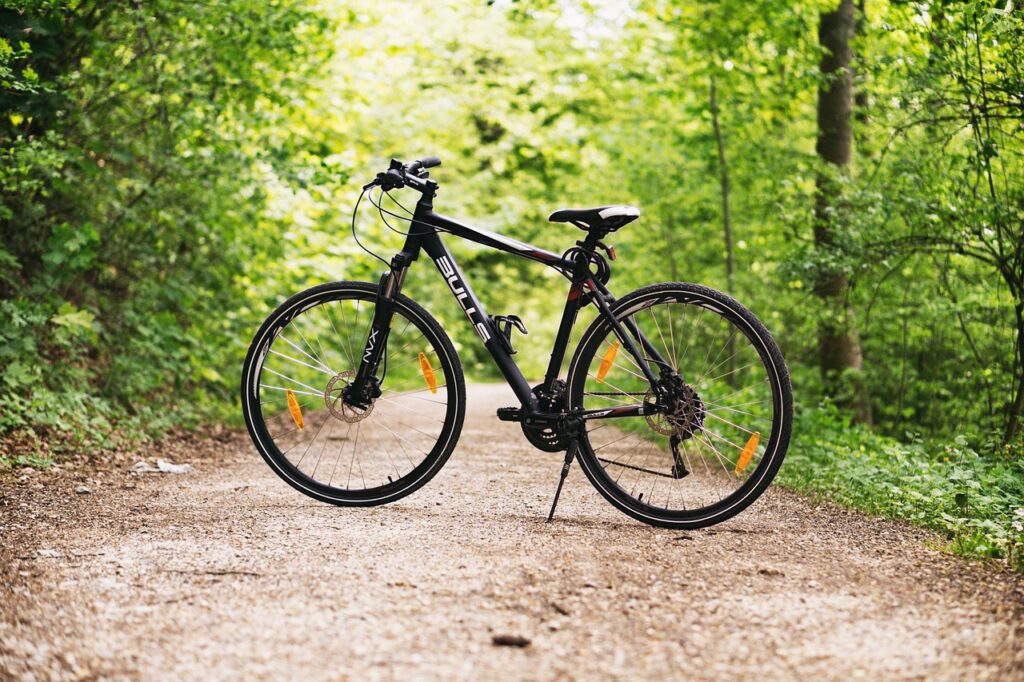 Ścieżki rowerowe i szlaki w lesie